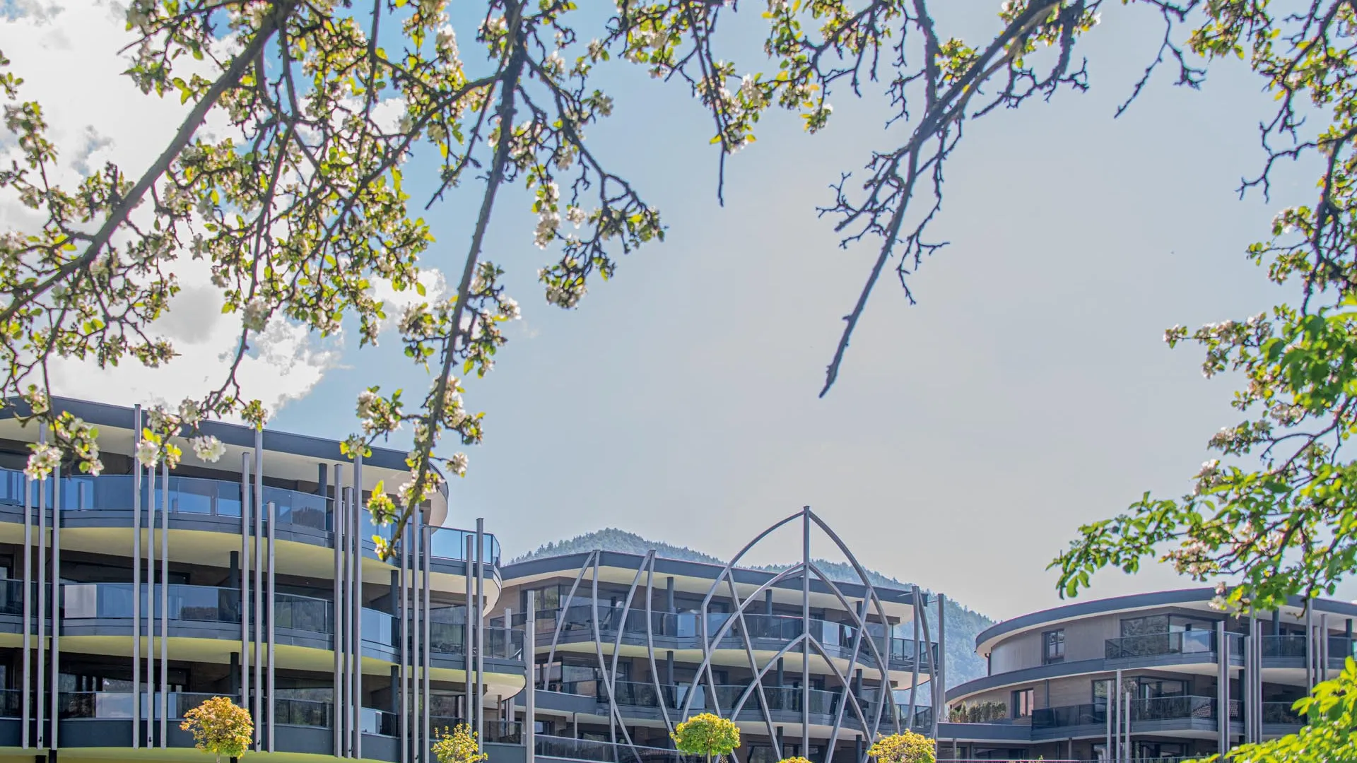 Moderne Fassade des Hotels Kronblick Leitgam mit geschwungener Stahlkonstruktion, gerahmt von blühenden Apfelbaumzweigen in Kiens